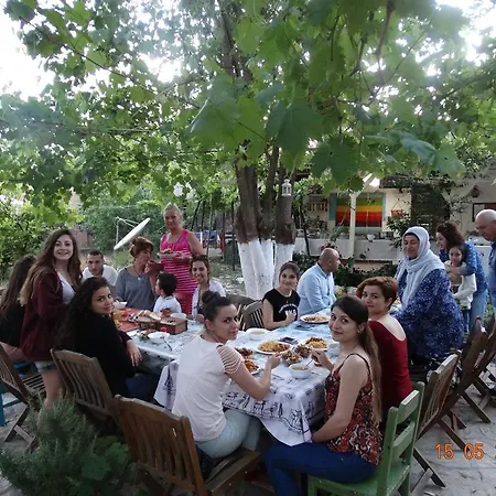 Nar * Olympos