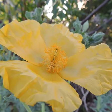 Nar بيت ضيافة