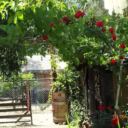 Nar Vendégház Olympos