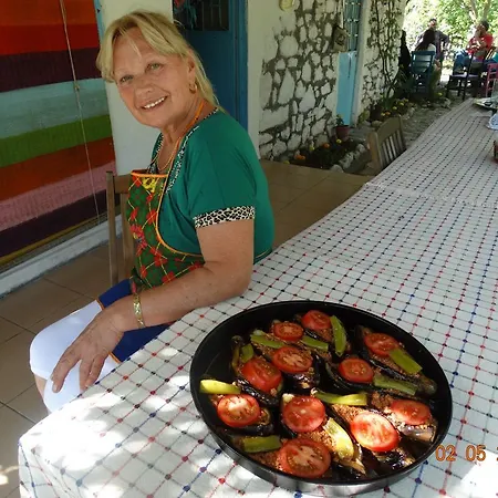 Guest house Nar Olympos