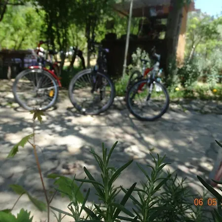 Guest house Nar