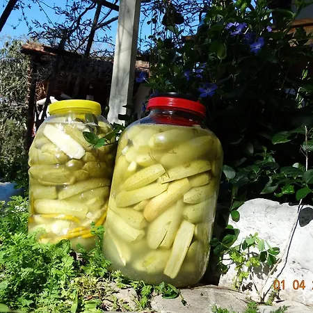 Nar Konukevi Olimpos