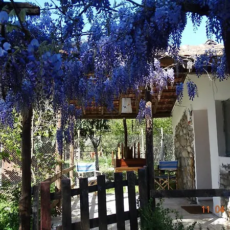 Guest house Nar *