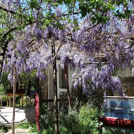 Konukevi Nar Olimpos