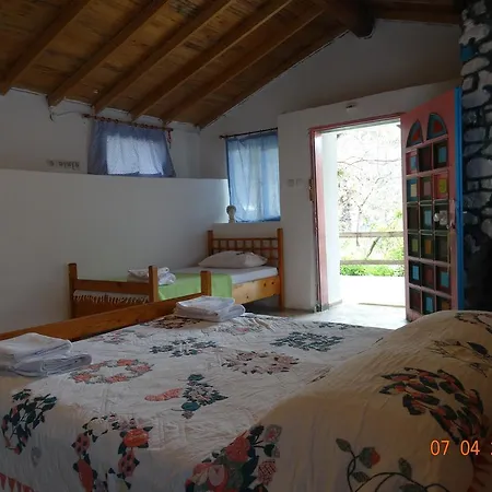 Guest house Nar