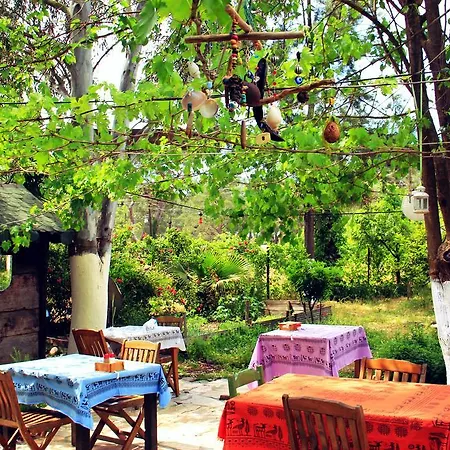 Guest house Nar