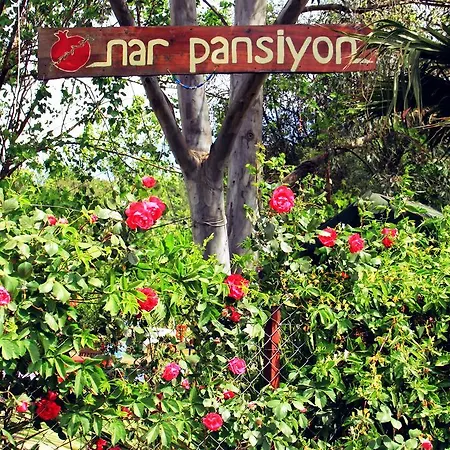 Nar Guest house Olympos