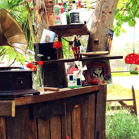 Nar Guest house