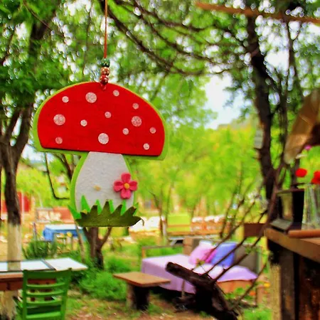 Guest house Nar *