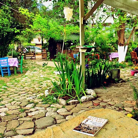 Guest house Nar