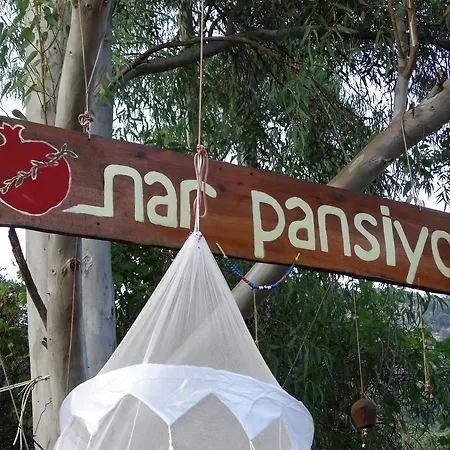 Guest house Nar *