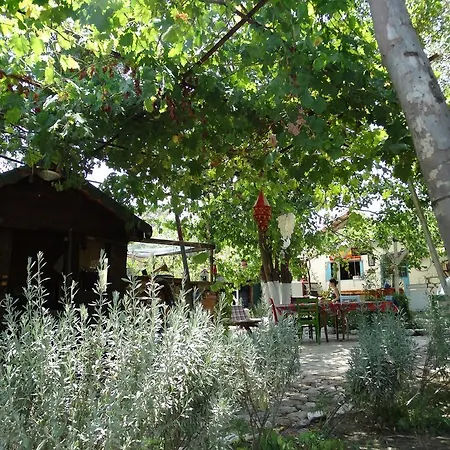 Guest house Nar