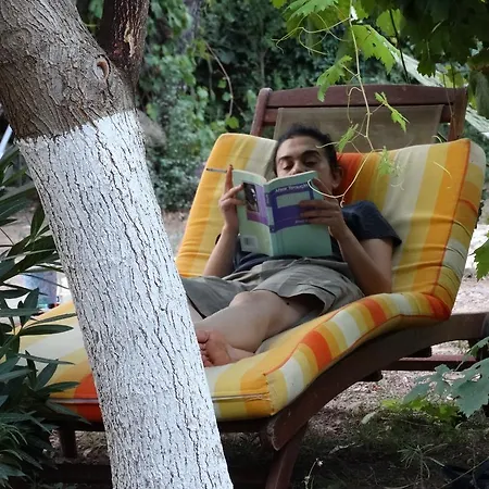 بيت ضيافة Nar