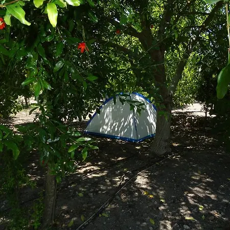 Guest house Nar