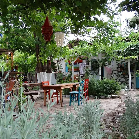 Guest house Nar