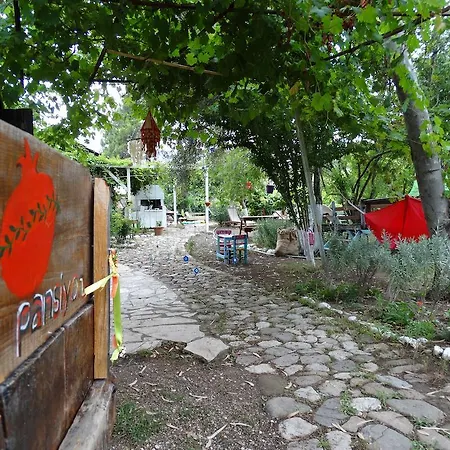 Guest house Nar *