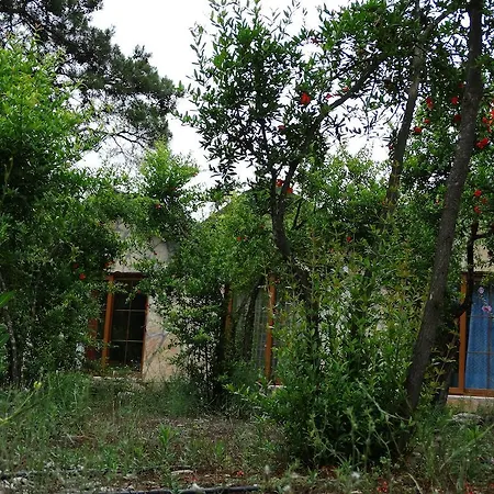 Guest house Nar *