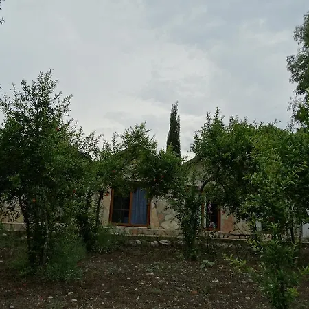 Guest house Nar