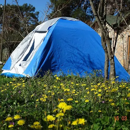 Guest house Nar Olympos